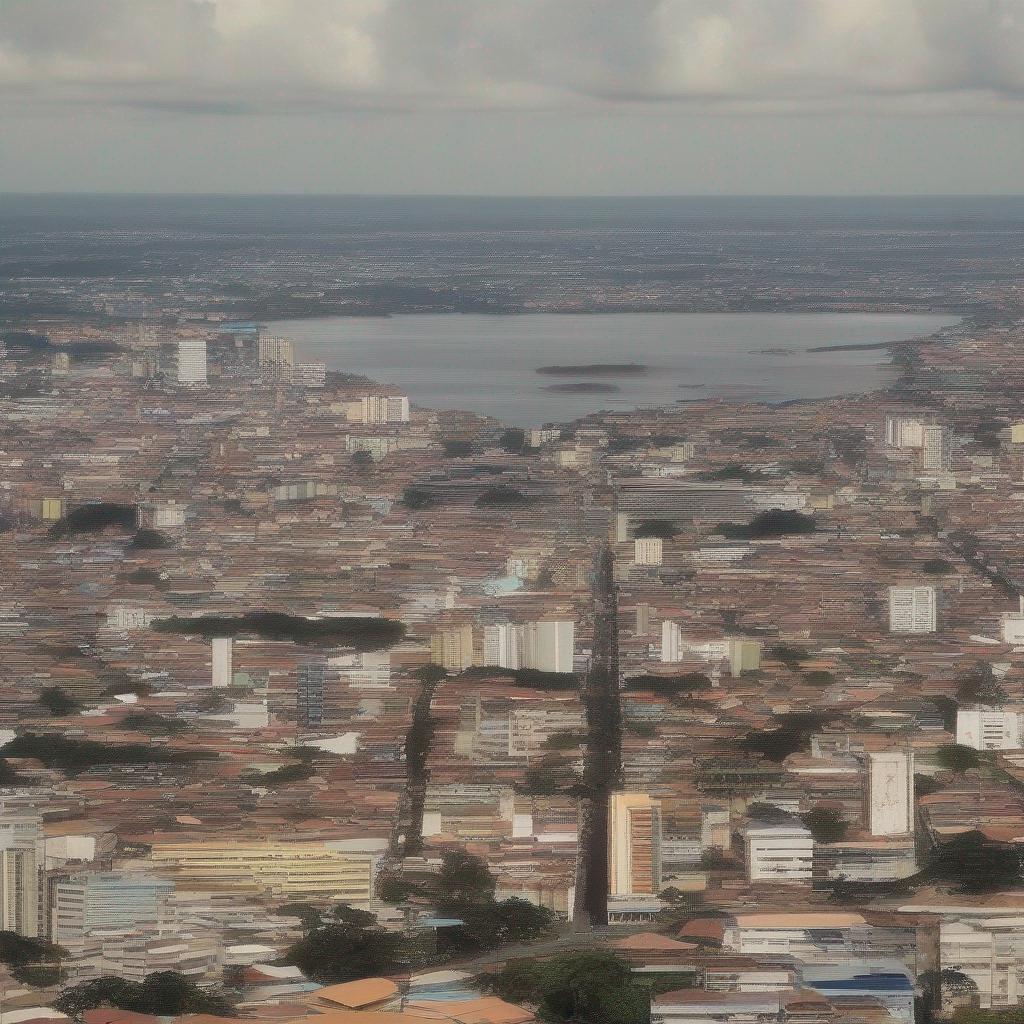 Vista panorâmica de Manaus